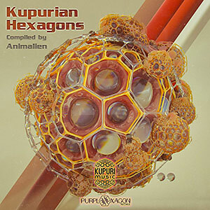 Kupurian Hexagons